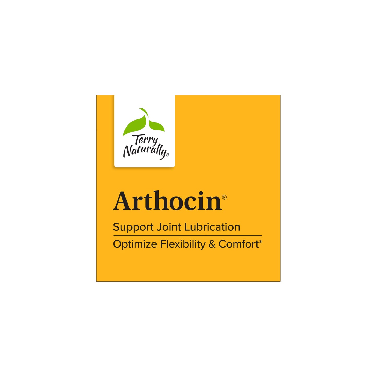 Terry Naturally Arthocin - Boswellia Serrata Capsules with Devil's Claw & Curcumin - Supplement to Support Joint & Spine Health - Herbal Supplement Aids Comfort & Absorption - 60 Capsules Terry NaturallyBuy Supplements Australia