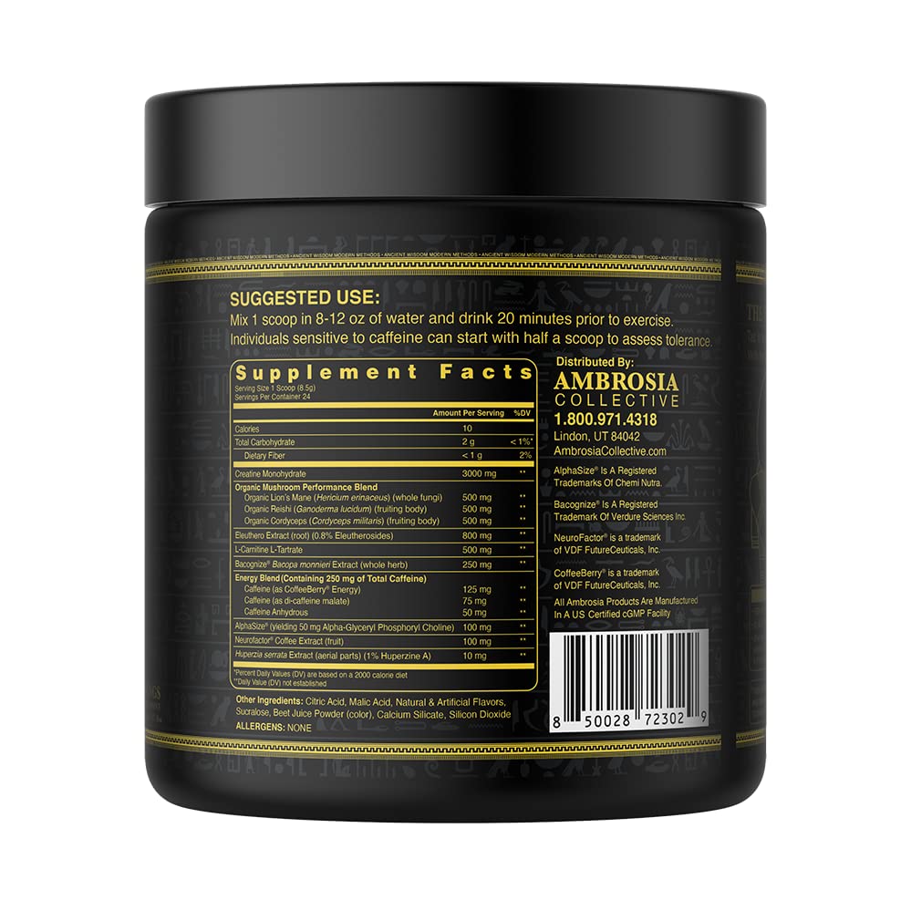 Ambrosia Kinetic Organic Preworkout, Mushroom Enhanced Natural Pre Workout Supplement AmbrosiaBuy Supplements Australia