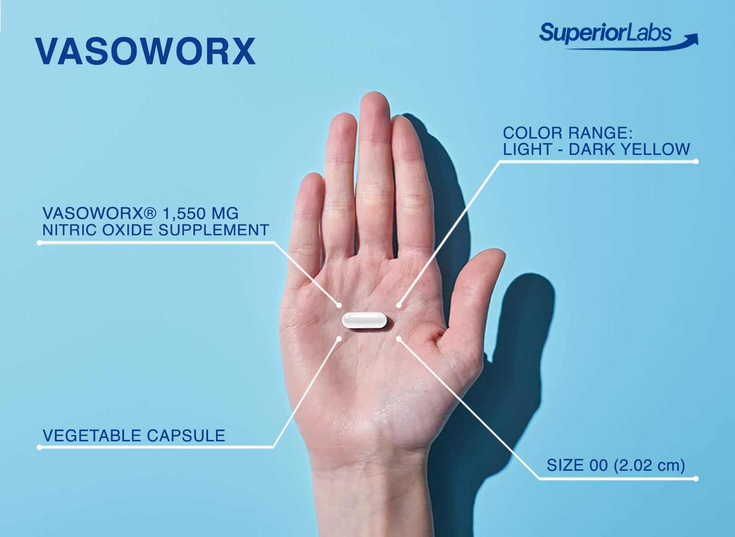 Superior Labs – VASOWORx  – Nitric Oxide Supplement – Extra Strength - 1,600 mg Superior LabsBuy Supplements Australia