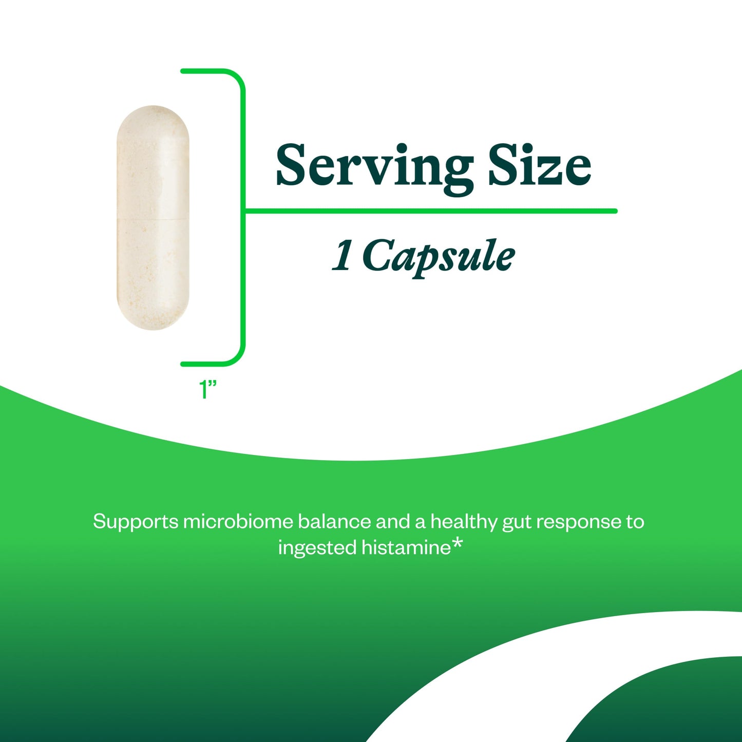 Seeking Health ProBiota HistaminX - Digestion Supplement for Gut Health Support - Support Histamine with Lactobacillus Plantarum & Lactobacillus Salivarius