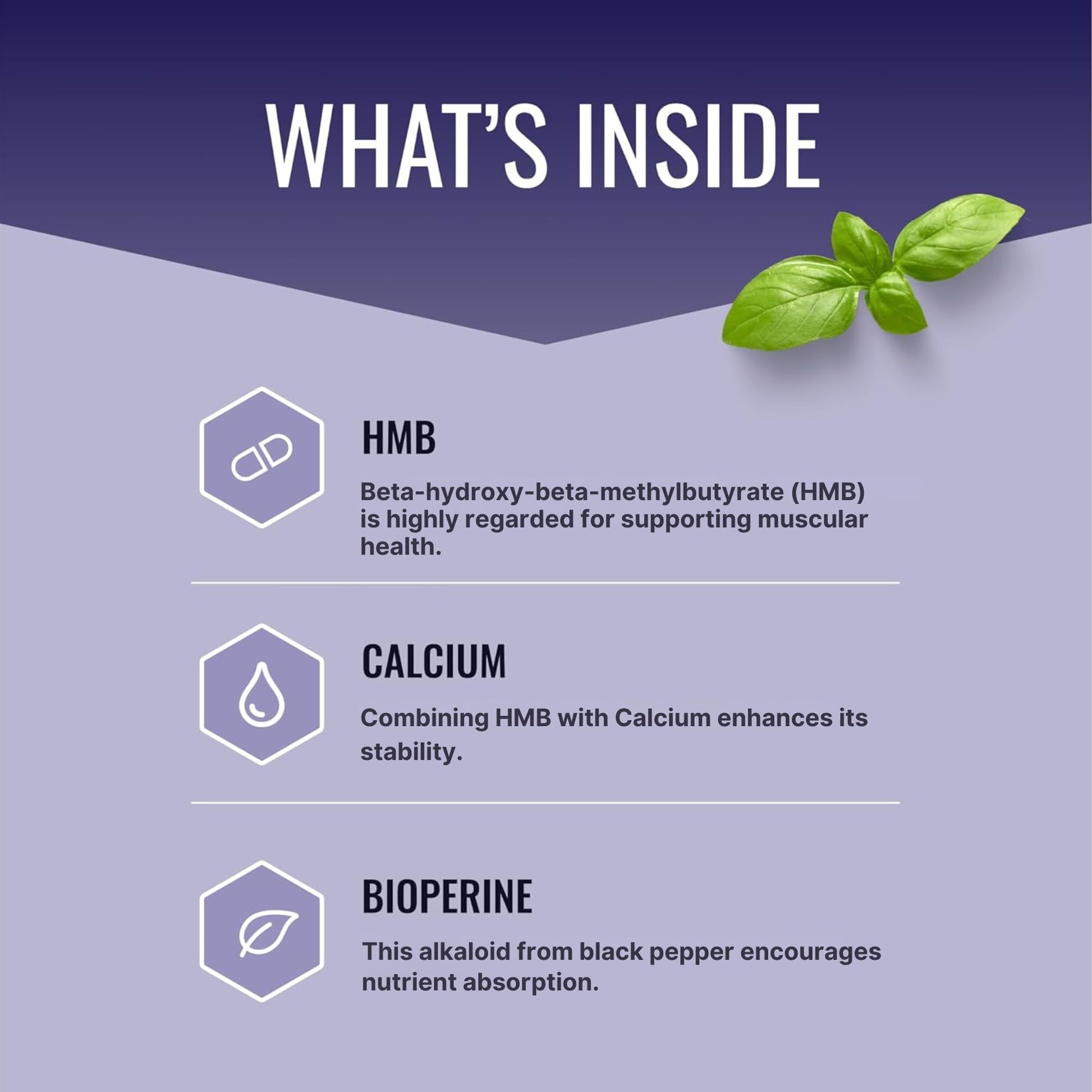 Approved Science HMB - 1500mg High Potency HMB Supplement with Calcium & BioPerine for Absorption - Muscle Health & Exercise Performance - 60 Vegan Capsules - Pack of 3 Approved ScienceBuy Supplements Australia