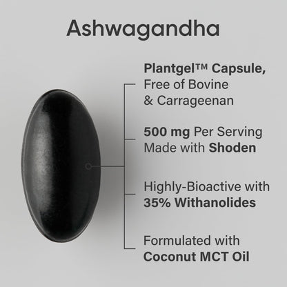 Sports Research® Ashwagandha Softgels with Coconut MCT Oil - Natural Adaptogen Sports ResearchBuy Supplements Australia