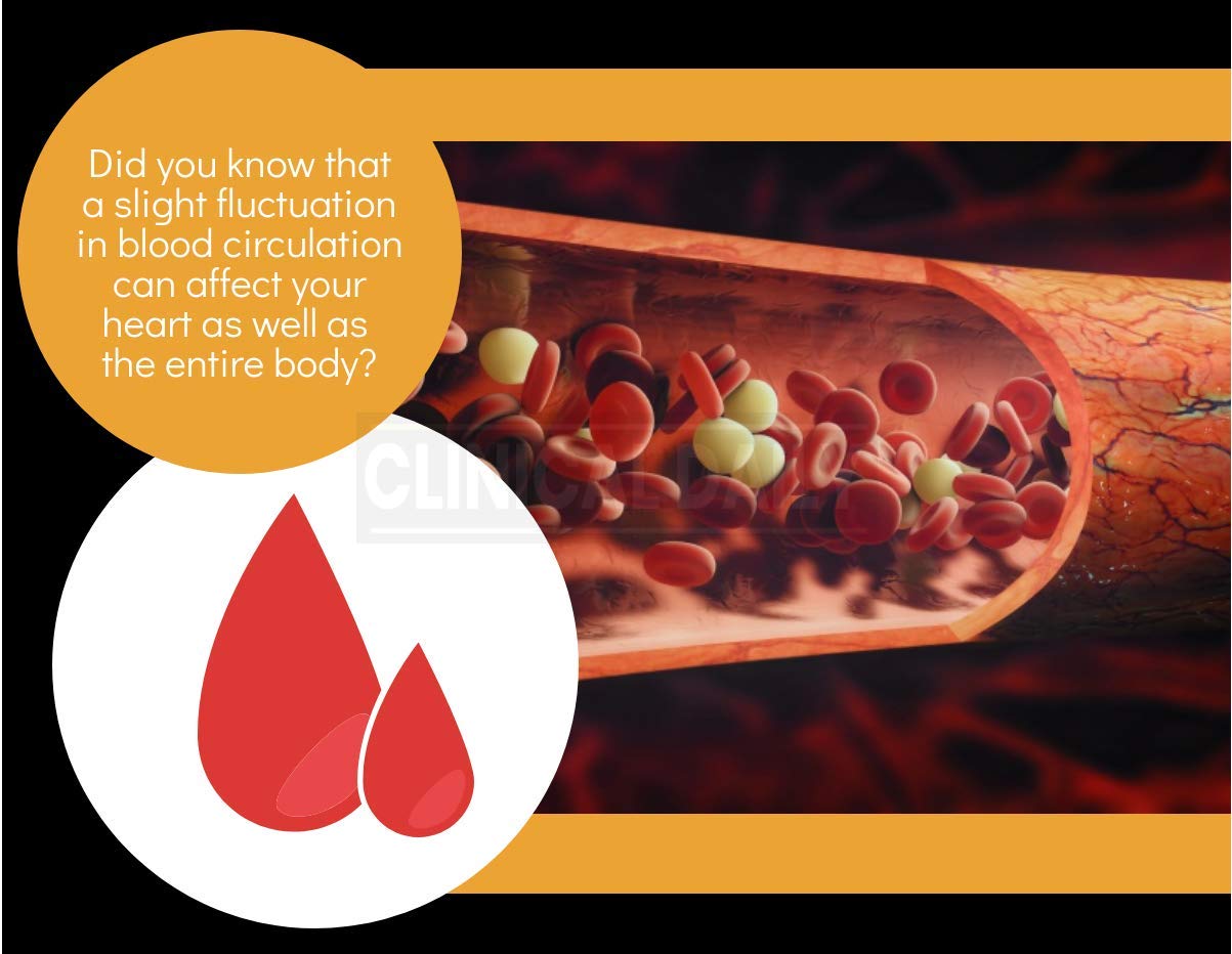 Clinical Daily Blood Circulation Supplements. Butchers Broom, Horse Chestnut, Hawthorn Clinical DailyBuy Supplements Australia