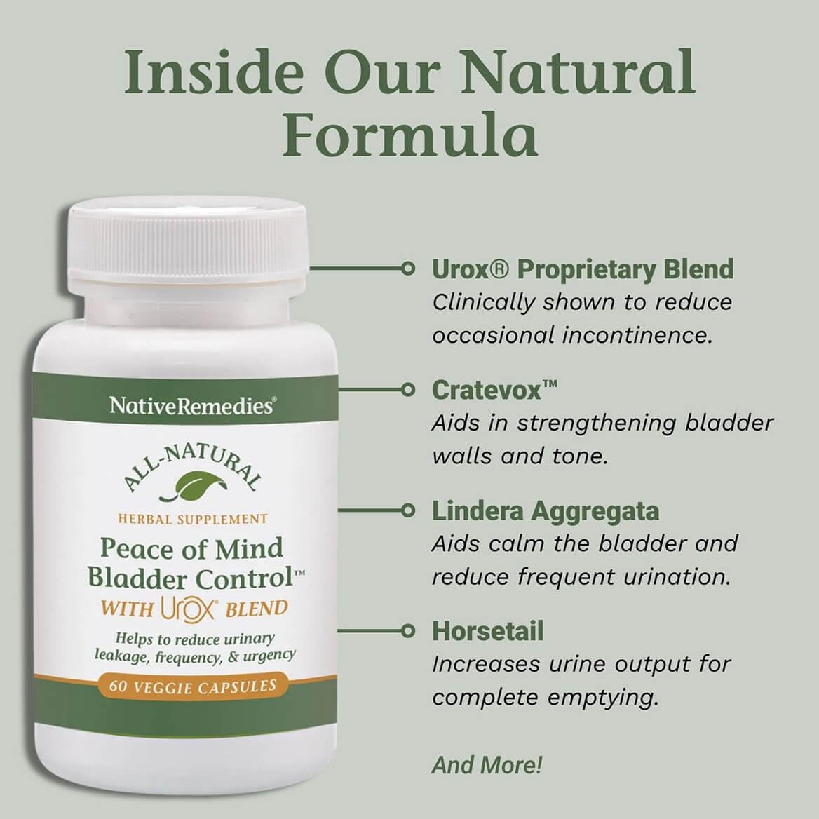 Native Remedies Bladder Control Supplements - Peace of Mind with Urox - Bladder Support for Women & Men, for Overactive Bladders Health - Reduce Nighttime Urination - Non-GMO Vegan Capsules (60 Count) Native RemediesBuy Supplements Australia