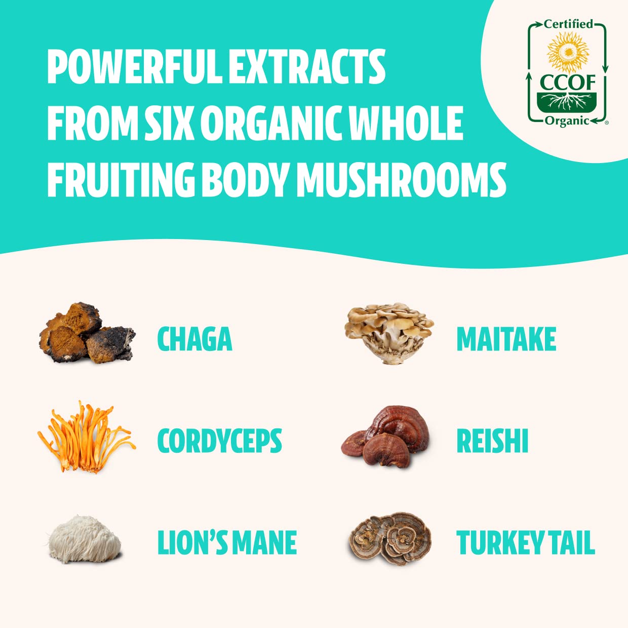 FreshCap Ultimate Mushroom Complex - Lions Mane, Reishi, Cordyceps, Chaga, Turkey Tail FreshCap MushroomsBuy Supplements Australia