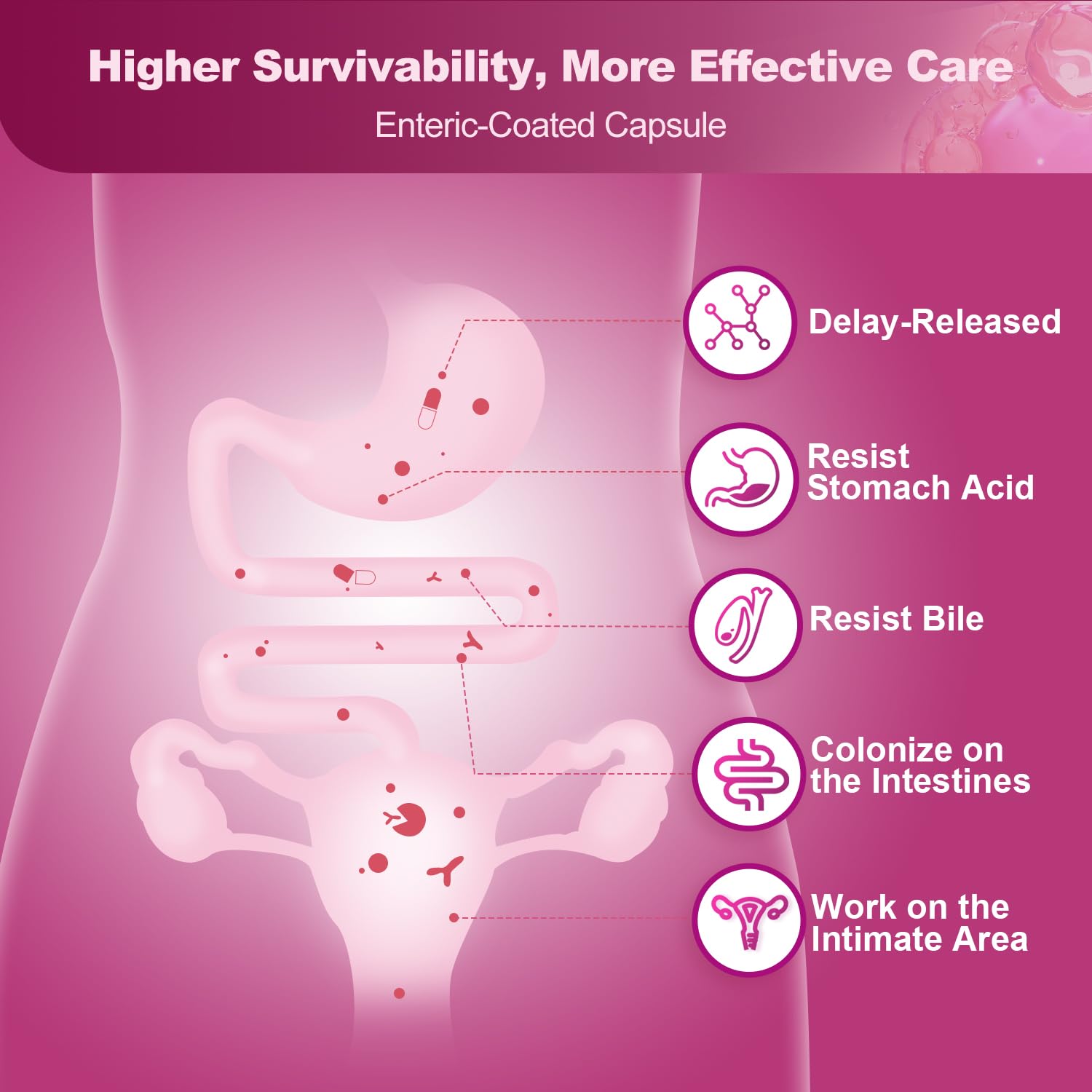 NATURE TARGET Probiotics for Women Urinary Tract Health with D Mannose & Cranberry - 60 Billion CFUs Vaginal Probiotics for Digestive Health, UTI & PH Balance with Prebiotics - 90 Capsules NATURE TARGETBuy Supplements Australia