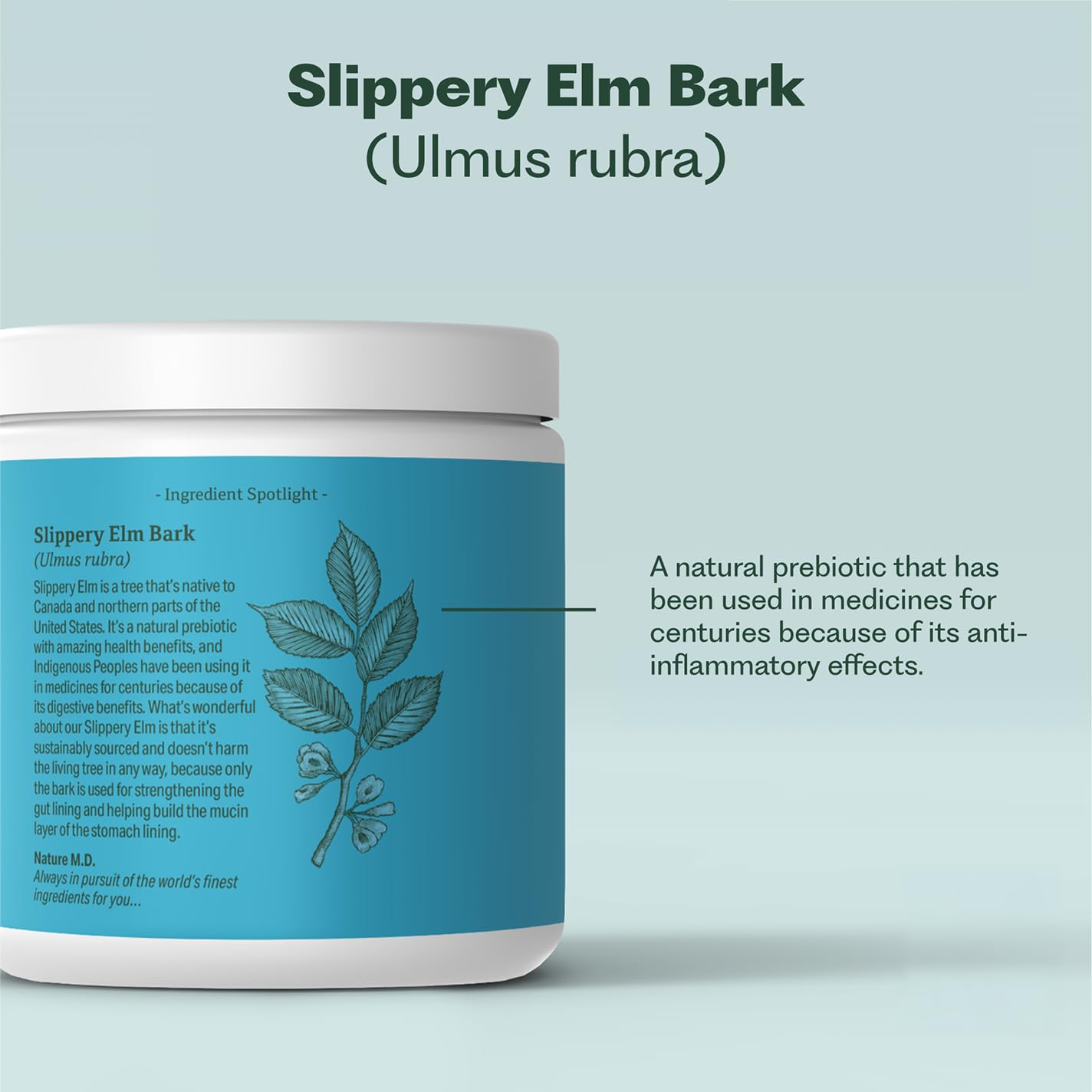 GutConnect 365 Gut Health Superfood Powder | Formulated With Slippery Elm Bark & L Glutamine | Vegan Certified | Allergen Free | Non-GMO | Soy Free | Made in the USA | 30 Servings – Vanilla Cinnamon Nature M.D.Buy Supplements Australia