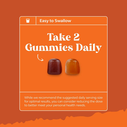 Potent Daily Multivitamin Gummies for Adults - Wellness Blend of Vitamin D A C E B12 Zinc and Biotin - Adult Vitamin Gummy for Energy and Immune Health Natures CraftBuy Supplements Australia