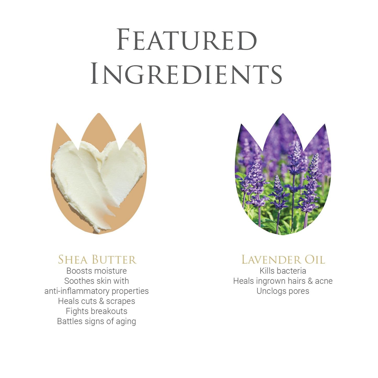 byDr.Poucher Fabulous Foam Wash for Women - pH Balanced Feminine Wash - Gentle, Natural Vulva byDr.PoucherBuy Supplements Australia
