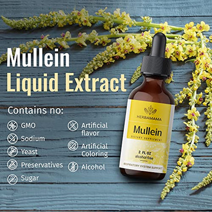 Mullein Leaf Tincture - Lung Cleanse - Vegan Lung Detox - Respiratory Health HERBAMAMABuy Supplements Australia