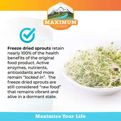 Maximum Living - Vita-Sprout Whole-Food Multivitamin & Phytonutrient Blend - 120 Capsules Maximum LivingBuy Supplements Australia