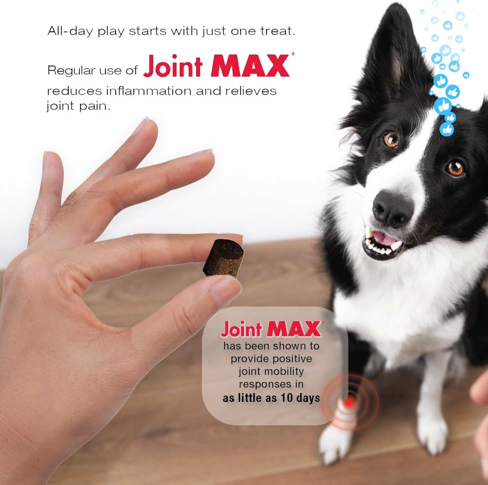 Joint Max TS Joint Supplement Vet Formulated Pain & Inflammation Relief Treats Hip Dysplasia & Arthritis, Glucosamine, Chondroitin, Turmeric, MSM, HA, Creatine, Omega 3 EPA + DHA.120 Soft Chews Joint MaxBuy Supplements Australia