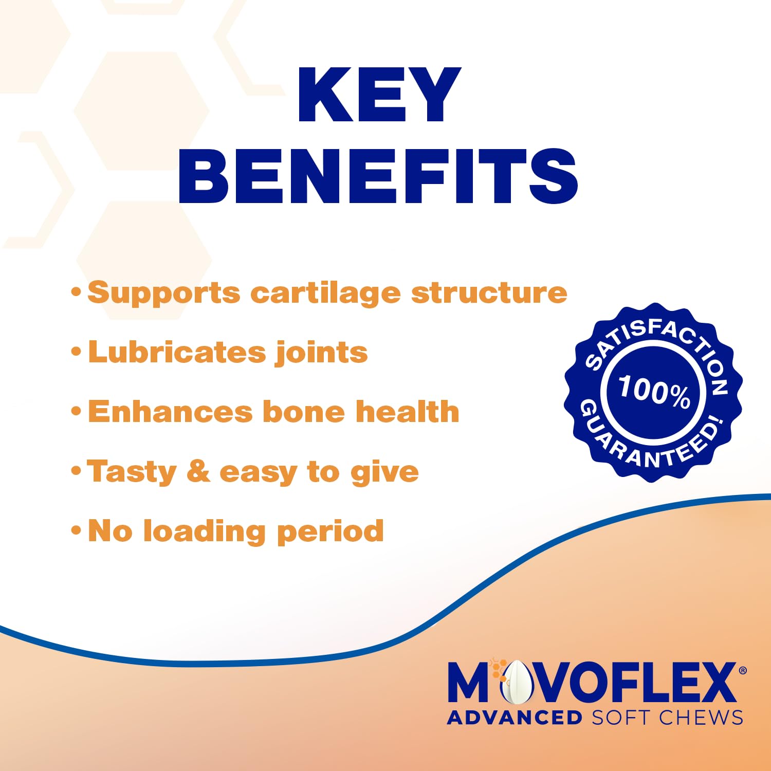MOVOFLEX Advanced Soft Chews Hip Joint Support Supplement for Large Dogs 60 Count by Virbac MOVOFLEXBuy Supplements Australia