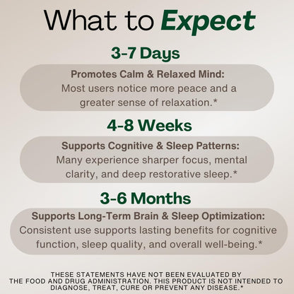 MAGPLUS+ Magnesium L-Threonate w Apigenin & L Theanine | 7-Ingredient Sleep Blend | Brain, Memory, & Sleep Support | Liposomal Magnesium Threonate Supplement (60 Capsules) Plus+UltraBuy Supplements Australia