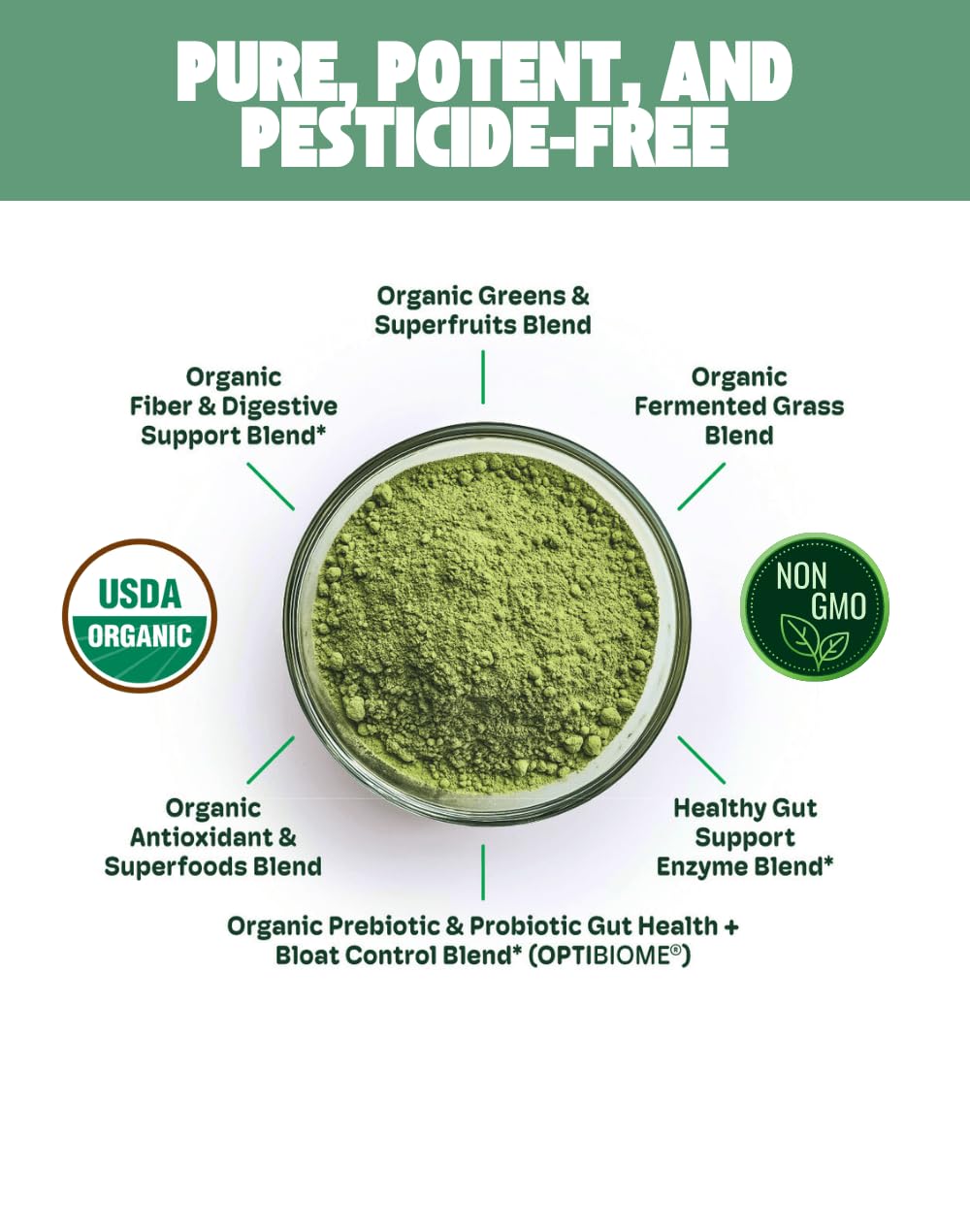 Cheerific Green Apple Bliss Superfood Powder - 20+ Organic Superfoods + Prebiotic & Probiotics + More - Keto Friendly - Supports Positive Mood, Gut Health - Vegan, Gluten Free, Non-GMO - 30 Day Supply CheerificBuy Supplements Australia