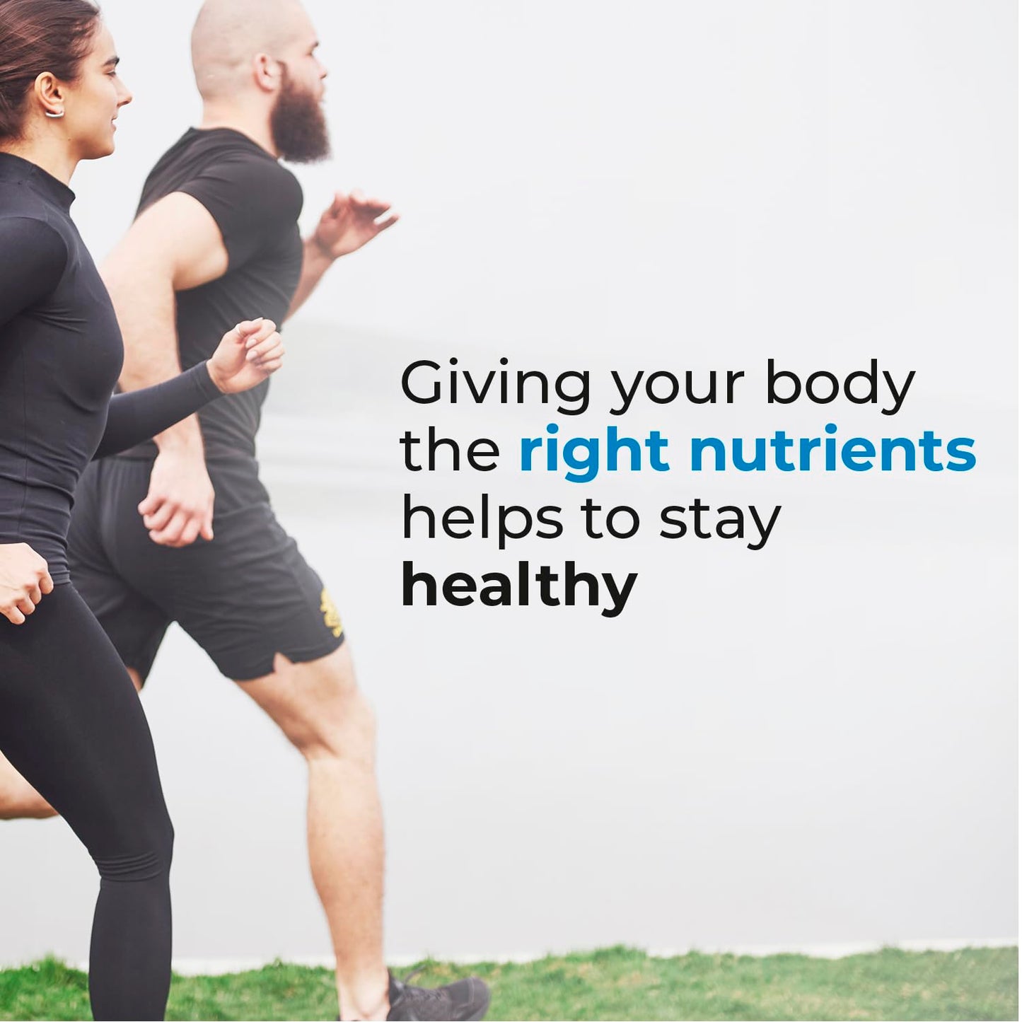 Biogenique Acai Berry Extract & Psyllium Powder, Energy Boost, Free Radical Scavenger BiogeniqueBuy Supplements Australia