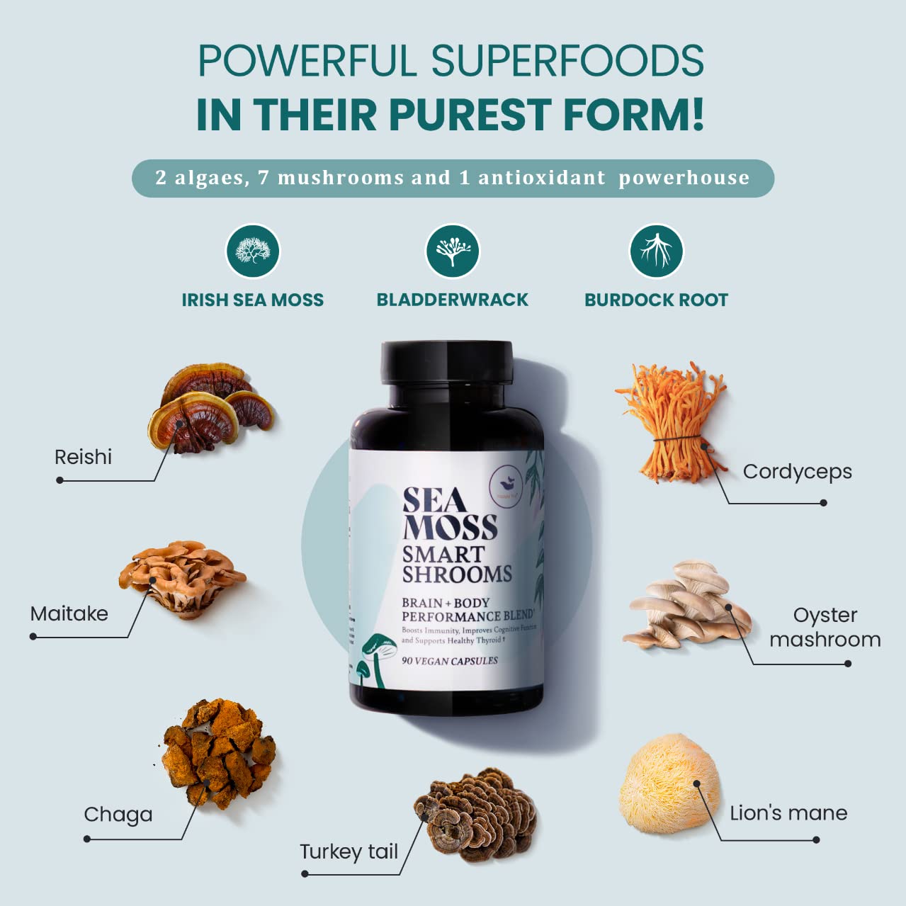 HAPPY FOX Irish Sea Moss Capsules & Mushroom Complex - Organic Seamoss with Adaptogens for Brain Health, 1500mg, 90 Vegan Capsules, Organic Mushroom Supplement HAPPY FOXBuy Supplements Australia