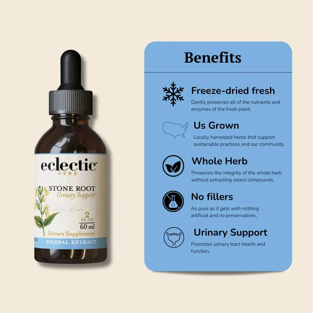 Eclectic Institute Stone Root O 2 Ounce ECLECTIC INSTITUTEBuy Supplements Australia
