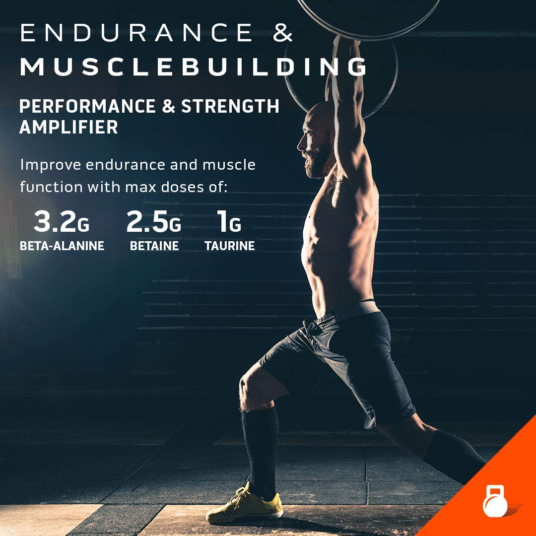 Pre Workout for Men & Women | MuscleTech Shatter Elite Pre-Workout | Preworkout Energy MuscleTechBuy Supplements Australia