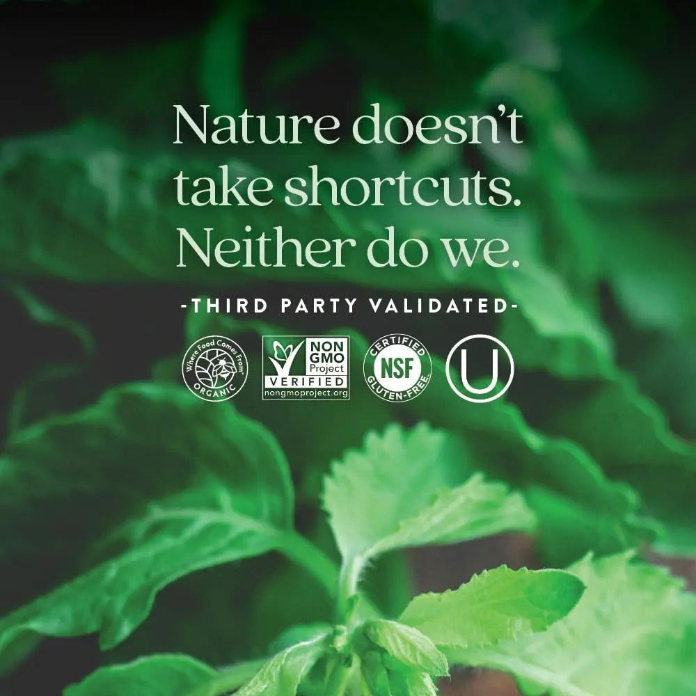 New Chapter Perfect Calm - Daily Multivitamin for Stress & Mood Support with B Vitamins + Holy Basil + Lemon Balm New Chapter