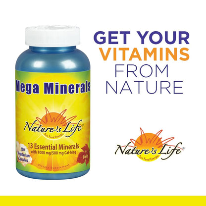 Nature's Life Mega Minerals Complex | Complete Multi Mineral + Vitamin D Supplement | 250 Vegetarian Capsules Nature's LifeBuy Supplements Australia
