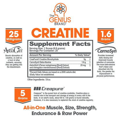 Genius Pre Workout Powder, Blue Razz, and Genius Micronized Creatine Monohydrate Powder, Unflavored, All Natural Nootropic Pre Workout and Post Workout Supplement Stack
