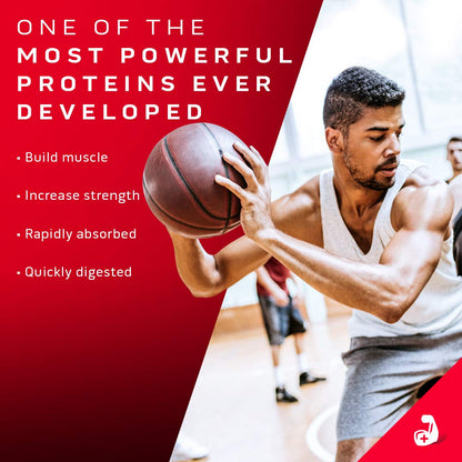 Whey Protein Powder MuscleTech Nitro-Tech Whey Gold Protein Powder Whey Protein MuscleTechBuy Supplements Australia