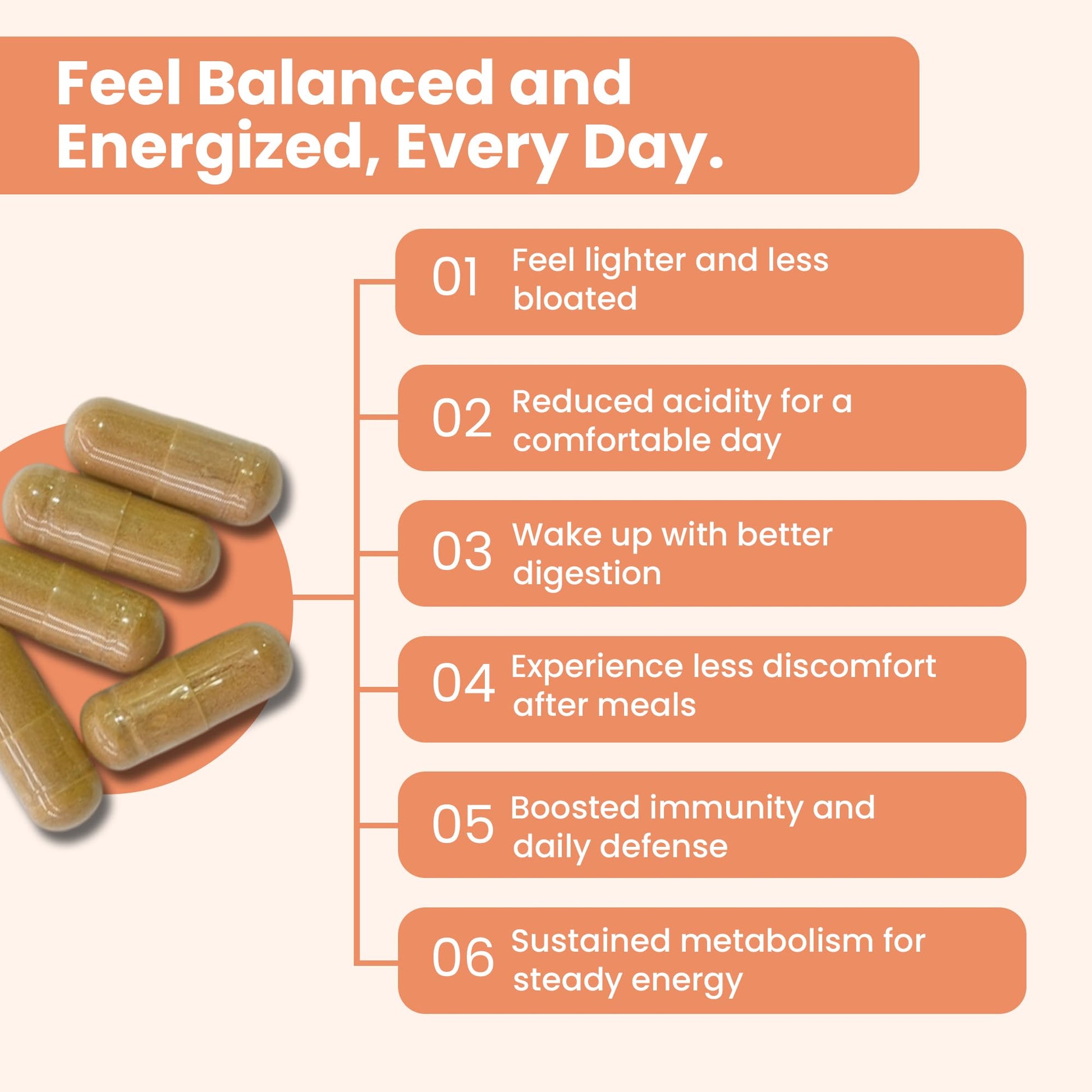 iMeMyself WellGut Daily Herbal Supplement | Traditional Herbs with Minerals & Probiotics 90 Vegan Capsules iMeMyselfBuy Supplements Australia