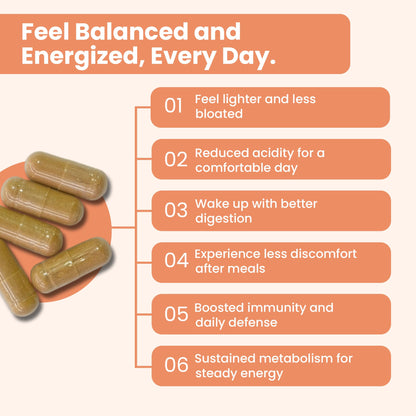 iMeMyself WellGut Daily Herbal Supplement | Traditional Herbs with Minerals & Probiotics 90 Vegan Capsules iMeMyselfBuy Supplements Australia