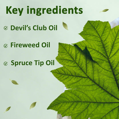 Snowy Summit Alaska Rainforest Salve - Herbal Salve for Dry Skin & Joint Relief - Natural Super Salve for Soothing Skin with Gentle Aroma - Body & Hand Salve - Muscle Rub with Alaskan Devil’s Club Oil Snowy SummitBuy Supplements Australia