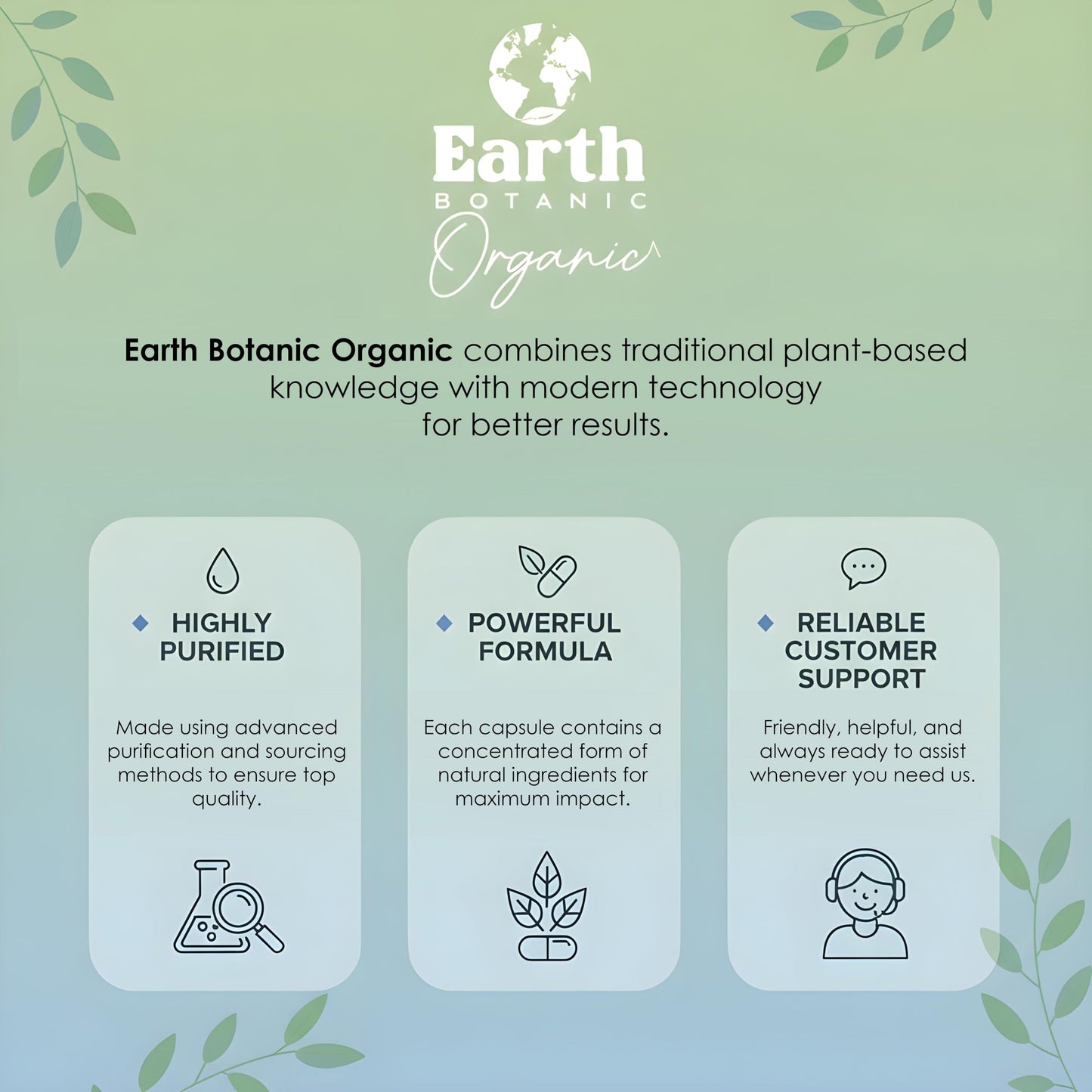 Earth BOTANIC Organic Apricot Extract, 1000 mg 120 Veggie Capsules (Vegan, Non-GMO) Herbal Supplements Earth BOTANIC OrganicBuy Supplements Australia