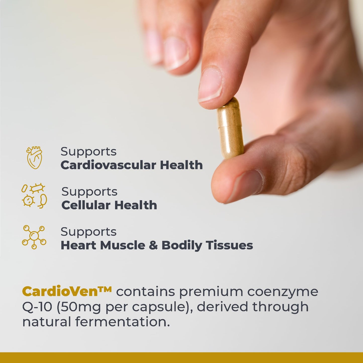 Premier Research Labs CardioVen - CoQ10, Coenzyme Q10, Co Q 10 Supplement 50mg, Ubiquinol with Chlorella, Tocotrienol & Cayenne Pepper for Heart Health, Antioxidant Support - 60 Vegetarian Capsules Premier Research LabsBuy Supplements Australia