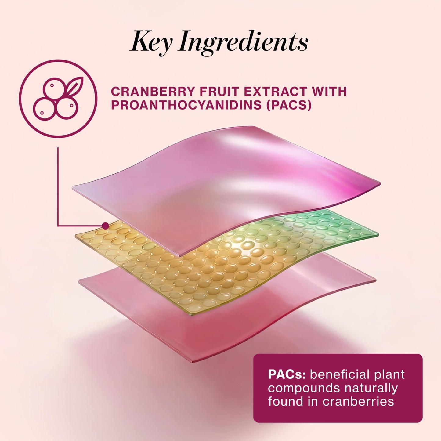 Love Wellness Urinary Tract* Quick Melt Strips - Fast-Dissolving UT Support with 36 mg PACs from Cranberry Fruit Extract - Promotes Urinary Health* - No Water Needed - Vegan and Sugar Free - 32 Strips Love WellnessBuy Supplements Australia