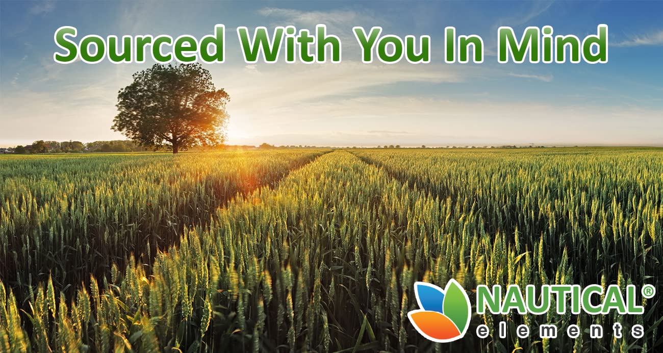 Wheatgrass Powder - USDA Certified Organic Wheat Grass Powder That Is Rich In Essential Amino Acids, Chlorophyll, Antioxidants, Fatty Acids, Minerals & Vitamins - US Grown - Vegan & Non-GMO Superfoods Nautical ElementsBuy Supplements Australia