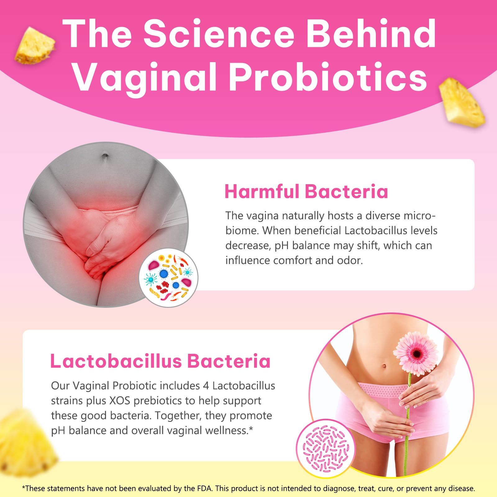 KITNOBLIS Feminine Probiotic Gummies with Slippery Elm- Pineapple Gummies for Women pH Balance, Gut Health & Immune Supports | with Prebiotics & Lactobacillus Blend (60 Gummies) KITNOBLISBuy Supplements Australia