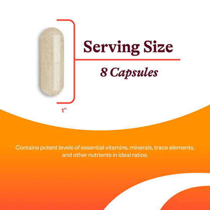 Seeking Health Optimal Multivitamin, Active B Vitamins and L-5-MTHF, Riboflavin, B6, Bioavailable Folate and B12, CoQ10 Seeking Health