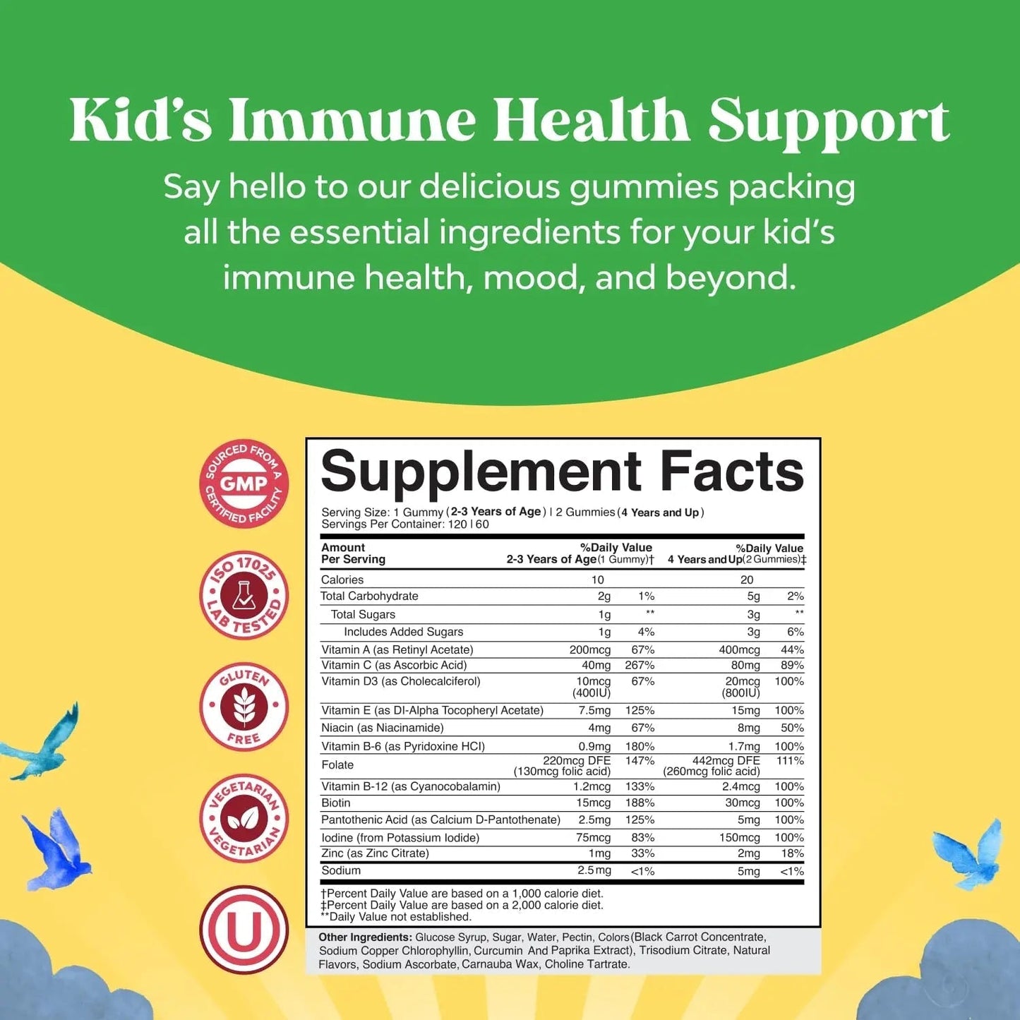 Bundle of Plant Based Kids Multivitamin Gummies with Vitamins A C D3 E B Zinc and DHA Omega 3 Gummies with Vegetarian 6 9 for Vision Brain Immunity Support Natures CraftBuy Supplements Australia