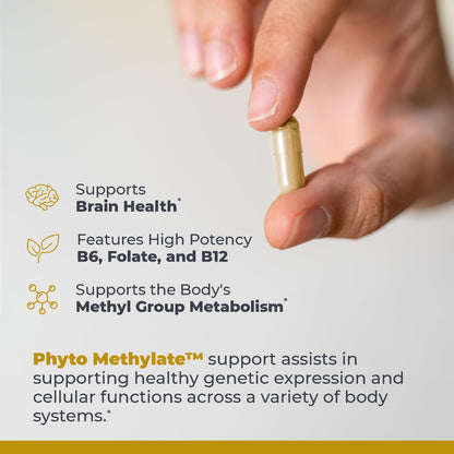 Premier Research Labs Phyto Methylate - B Vitamin Supplement - Supports Methylation, Detox, Brain & Heart Health - 5-MTHF & P5P - 60 Plant-Source Capsules Premier Research LabsBuy Supplements Australia
