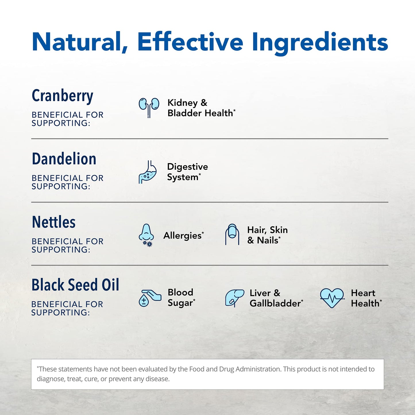 NORTH AMERICAN HERB & SPICE Total Body Purge - 12 fl. oz. - Raw Whole Body Formula - Builds Healthy & Nutritious Diet - Contains Natural Source Phenols, Vitamins, & Minerals - 12 Servings NORTH AMERICAN HERB & SPICEBuy Supplements Australia
