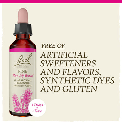 Bach Original Flower Remedies, Pine for Self Respect, Natural Homeopathic Flower Essence BachBuy Supplements Australia