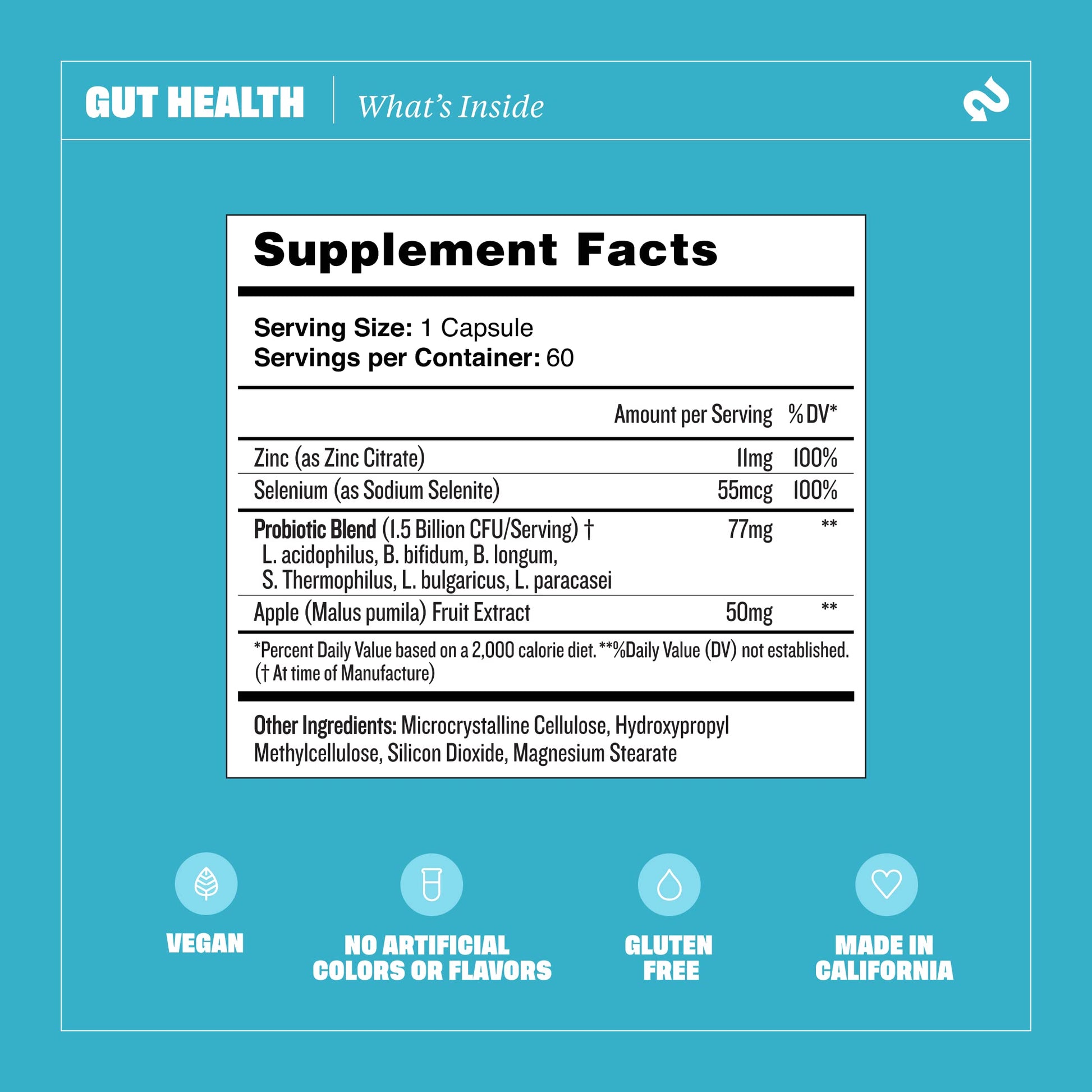 Health By Habit Gut Health Supplement (60 Capsules) - Contains 1.5 Billion probiotic Health By HabitBuy Supplements Australia