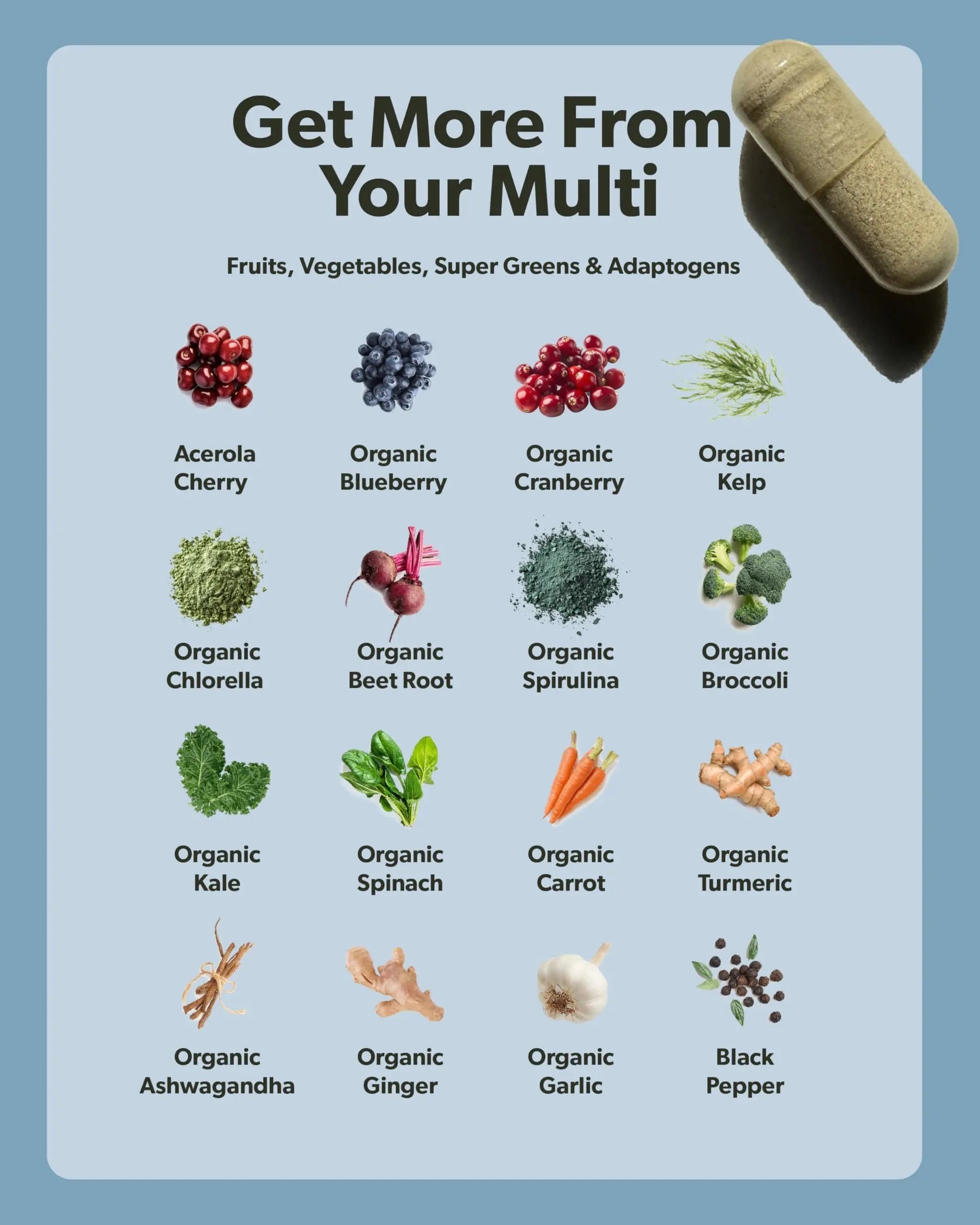 Multivitamin for Men - Daily Men’s Multivitamin - Methylated B Complex with Whole Food Ingredients, Vitamin B12, Folate sapling