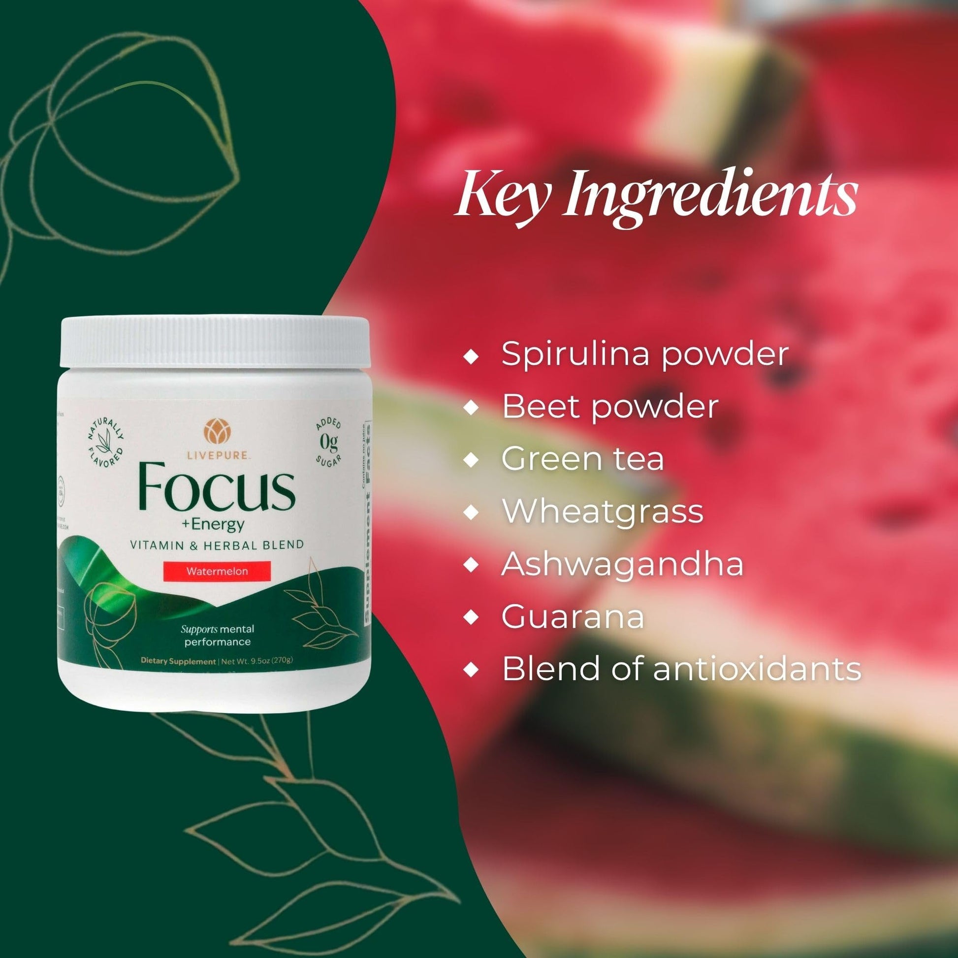 PURE Focus + Energy Tub Drink Mix | Natural Caffeine & Antioxidants from Botanicals | Supports Alertness, Clarity & Energy | Zero Sugar, No Artificial Sweeteners | 9.5 oz | Watermelon Flavor PUREBuy Supplements Australia