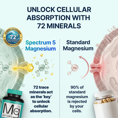 Spectrum 5 Magnesium Complex for Women & Men | Patented Aqua-Ionic® 5X Absorption Technology | 500mg Glycinate, Citrate, Malate + 72 Trace Minerals | Deep Sleep, Leg Cramp Relief & Calm | Non-Laxative SonoHealthBuy Supplements Australia