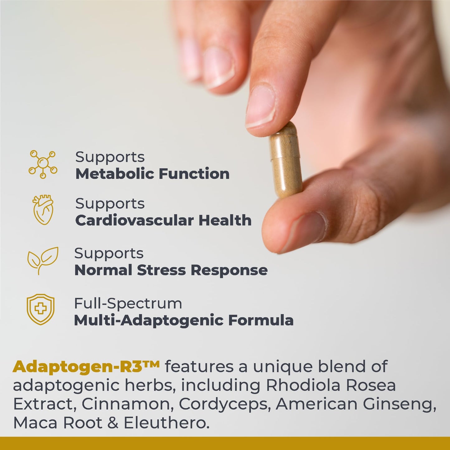 Premier Research Labs Adaptogen-R3 Supplement - Rhodiola Rosea Supplement with Maca Root, Adaptogen Complex for Stress, Heart & Metabolic Health - 90 Vegetarian Capsules Premier Research LabsBuy Supplements Australia