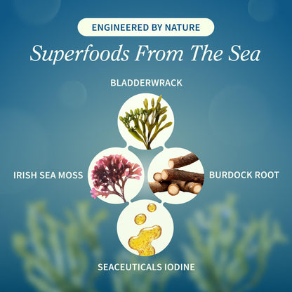 Snap Supplements Irish Sea Moss with Bladderwrack, Burdock Root & Iodine – Natural Sea Moss Supplement to Support Gut Health, Energy & Healthy-Looking Skin, 60 Vegan Capsules (1 Month Supply) Snap SupplementsBuy Supplements Australia