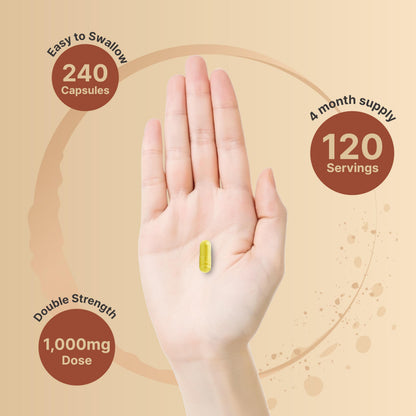 NatureBell Quercetin 1000mg Per Serving | 240 Capsules, Ultra Strength Quercetin NatureBellBuy Supplements Australia