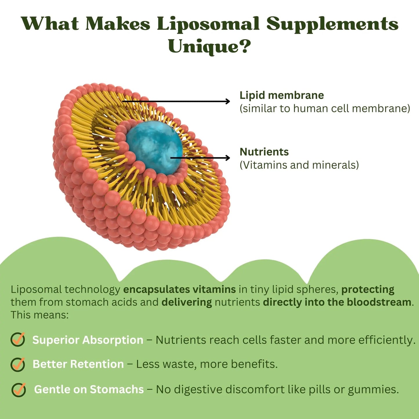 Vitaminally Liposomal Kids Liquid Multivitamin | Non-GMO | Clean | Sugar Free | Gluten Free | Organic Berry Flavors | Vitaminally