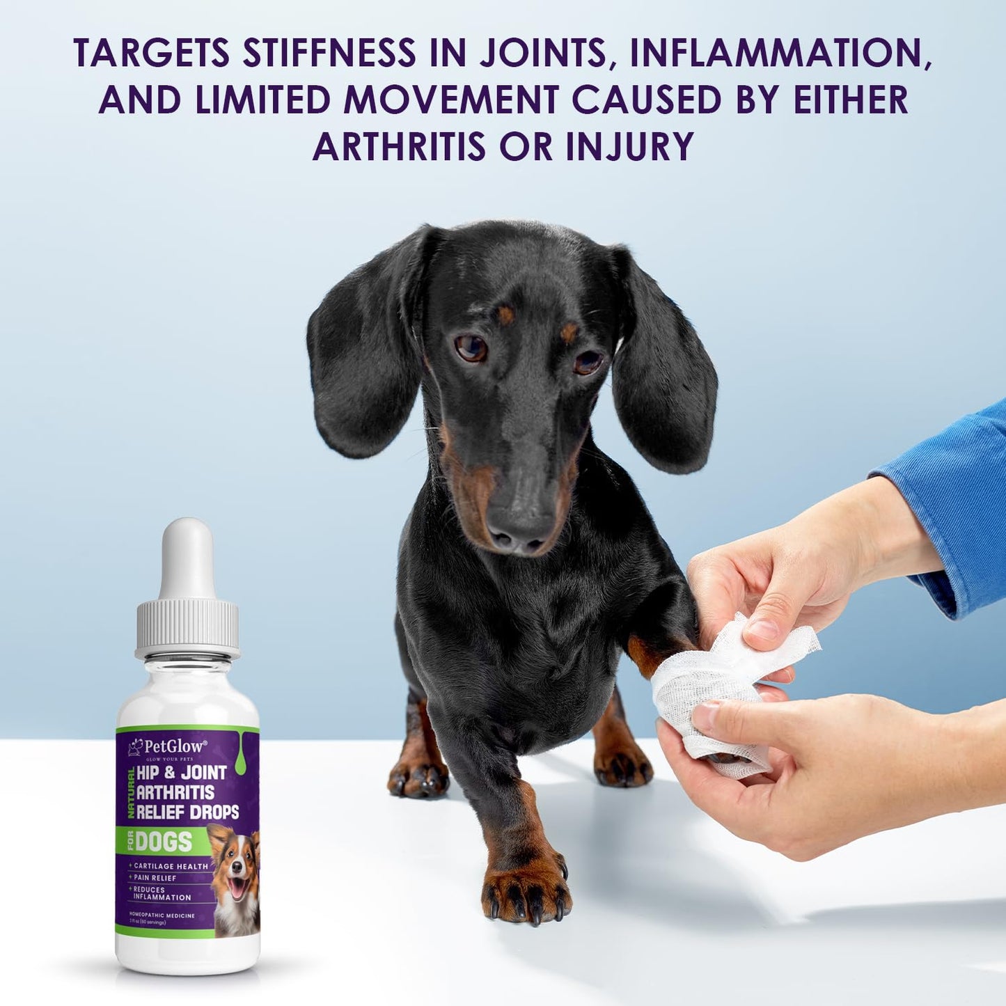 Petglow® Natural Hip & Joint Arthritis Relief Drops with Curcumin & Boswellia, Homeopathic Anti-Inflammatory Formula for Dogs, Cats & Horses, Supports Flexibility, Comfort & Mobility Naturally PetglowBuy Supplements Australia