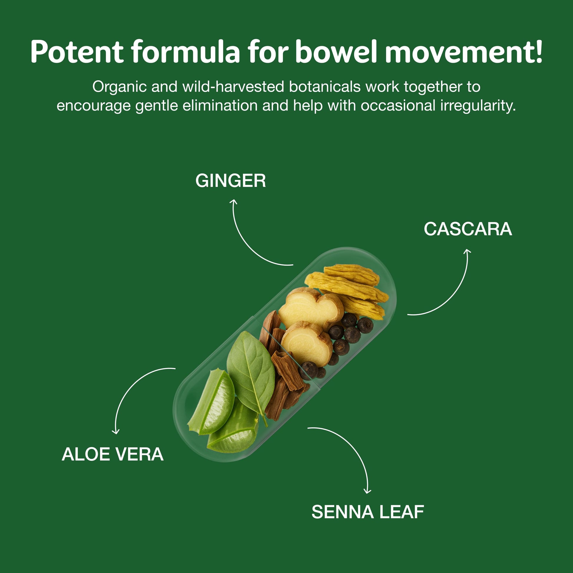 Simply Herbs Easy Go Bowel Mover - Adult Cleansing Supplement for Colon Health Support - Bowel Movement Aid - Stool Softener - Daily-Use Laxative - Plant-Based Ingredients - Vegan - 100 Count (2 Pack) Dr. Schulze'sBuy Supplements Australia